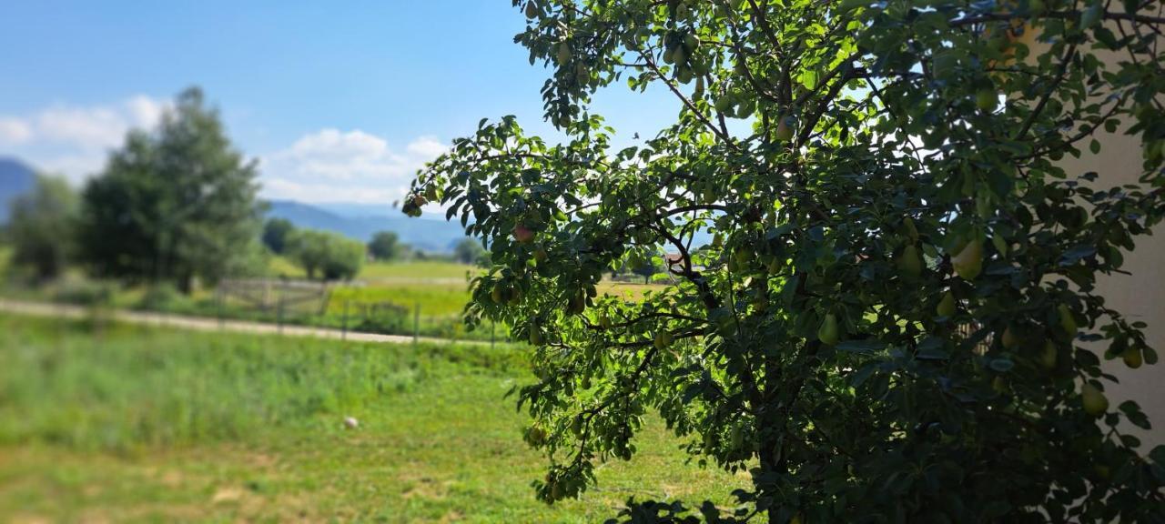 Apartamento Topla porodicna kuca Berane Exterior foto