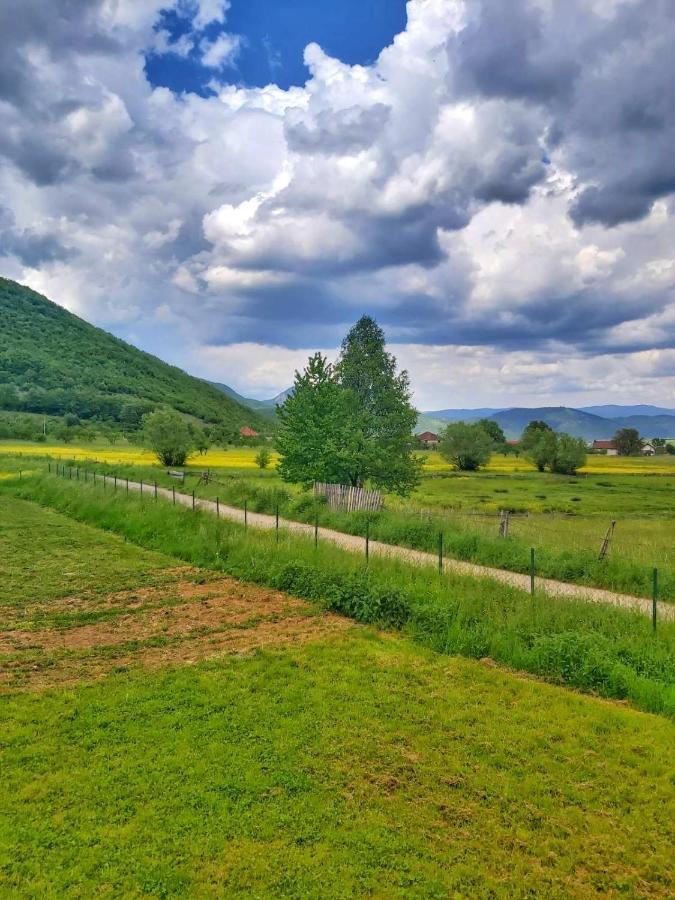 Apartamento Topla porodicna kuca Berane Exterior foto